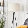 Flemming Lampadaire Noir, 1 lumière