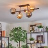 Gastor Plafonnier, Boule lumineuse Ambre, Clair, Fumé, 5 lumières