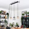 Gastor Suspension, Boule lumineuse, Suspension Ambre, Clair, Fumé, 3 lumières