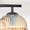 Ripoll Plafonnier, Boule lumineuse Ambre, Fumé, 2 lumières