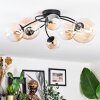 Chehalis Plafonnier, Boule lumineuse Ambre, Clair, 6 lumières