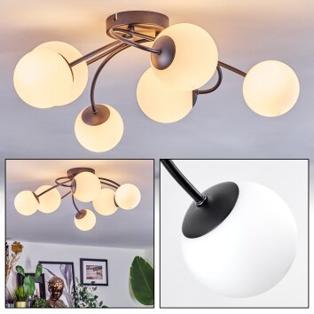 Chehalis Plafonnier, Boule lumineuse Blanc, 6 lumières
