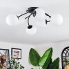 Chehalis Plafonnier, Boule lumineuse Blanc, 6 lumières