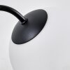 Chehalis Plafonnier, Boule lumineuse Blanc, 6 lumières
