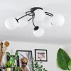 Chehalis Plafonnier, Boule lumineuse Blanc, 6 lumières