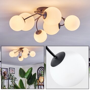Chehalis Plafonnier, Boule lumineuse Blanc, 6 lumières