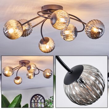 Chehalis Plafonnier, Boule lumineuse Fumé, 6 lumières