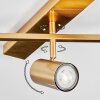 Javel Plafonnier, Spot de plafond Or, 5 lumières