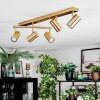 Javel Plafonnier, Spot de plafond Or, 5 lumières