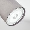Javel Plafonnier, Spot de plafond Chrome, Gris, Noir, 5 lumières