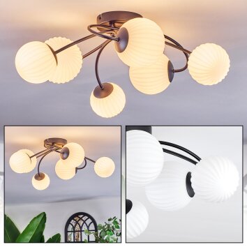 Chehalis Plafonnier, Boule lumineuse Blanc, 6 lumières