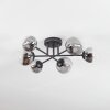 Chehalis Plafonnier, Boule lumineuse 18 cm Clair, Fumé, 6 lumières