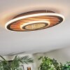 Meron Plafonnier LED Couleur bois, Noir, 1 lumière