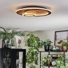 Meron Plafonnier LED Couleur bois, Noir, 1 lumière
