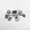 Chehalis Plafonnier, Boule lumineuse Clair, Fumé, 6 lumières