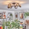 Chehalis Plafonnier, Boule lumineuse Clair, Fumé, 6 lumières