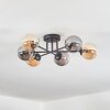 Chehalis Plafonnier, Boule lumineuse Ambre, Fumé, 6 lumières Chehalis Plafonnier, Boule lumineuse Ambre, Fumé, 6 lumières