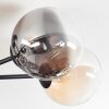 Chehalis Plafonnier, Boule lumineuse Ambre, Clair, Fumé, 6 lumières