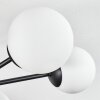 Chehalis Plafonnier, Boule lumineuse Blanc, 6 lumières
