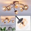Chehalis Plafonnier, Boule lumineuse Ambre, Clair, 6 lumières