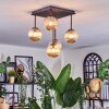 Chehalis Plafonnier, Boule lumineuse Ambre, 5 lumières