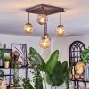 Chehalis Plafonnier, Boule lumineuse Ambre, Fumé, 5 lumières