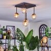 Chehalis Plafonnier, Boule lumineuse Ambre, Clair, 5 lumières