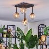 Chehalis Plafonnier, Boule lumineuse Ambre, Clair, 5 lumières