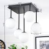 Chehalis Plafonnier, Boule lumineuse Blanc, 5 lumières