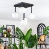 Chehalis Plafonnier, Boule lumineuse Blanc, 5 lumières