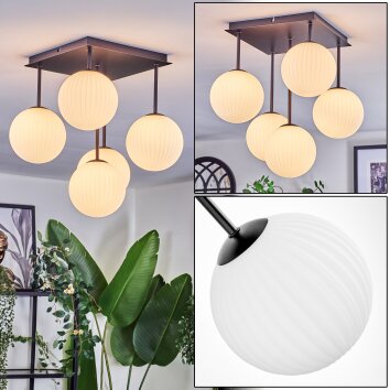 Chehalis Plafonnier, Boule lumineuse Blanc, 5 lumières