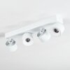 Narel Plafonnier, Spot de plafond LED Blanc, 4 lumières