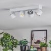 Narel Plafonnier, Spot de plafond LED Blanc, 4 lumières