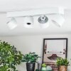 Narel Plafonnier, Spot de plafond LED Blanc, 4 lumières