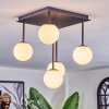 Chehalis Plafonnier, Boule lumineuse Blanc, 5 lumières