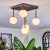 Chehalis Plafonnier, Boule lumineuse Blanc, 5 lumières
