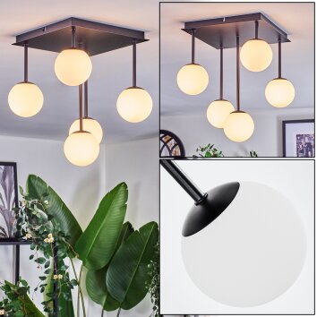 Chehalis Plafonnier, Boule lumineuse Blanc, 5 lumières