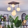 Chehalis Plafonnier, Boule lumineuse Blanc, 5 lumières