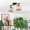 Gastor Plafonnier, Boule lumineuse Ambre, 2 lumières