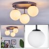 Chehalis Plafonnier, Boule lumineuse Blanc, 3 lumières