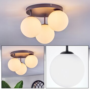 Chehalis Plafonnier, Boule lumineuse Blanc, 3 lumières Chehalis Plafonnier, Boule lumineuse Blanc, 3 lumières