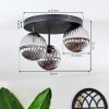 Chehalis Plafonnier, Boule lumineuse Fumé, 3 lumières