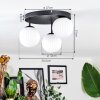 Chehalis Plafonnier, Boule lumineuse Blanc, 3 lumières
