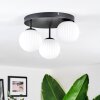 Chehalis Plafonnier, Boule lumineuse Blanc, 3 lumières