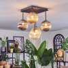 Chehalis Plafonnier, Boule lumineuse Ambre, Clair, Fumé, 5 lumières