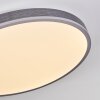 Salmi Plafonnier, Panel LED Gris, Argenté, 1 lumière, Télécommandes