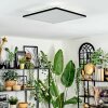 Barullu Plafonnier, Panel LED Noir, Blanc, 1 lumière