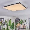 Barullu Plafonnier, Panel LED Noir, Blanc, 1 lumière