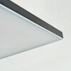 Barullu Plafonnier, Panel LED Noir, Blanc, 1 lumière