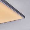 Barullu Plafonnier, Panel LED Noir, Blanc, 1 lumière